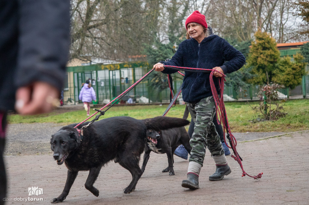 Wyprowadź psa ze schroniska