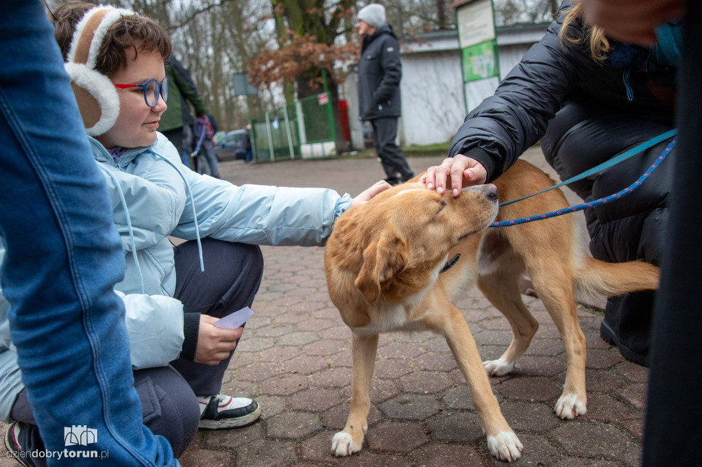 Wyprowadź psa ze schroniska