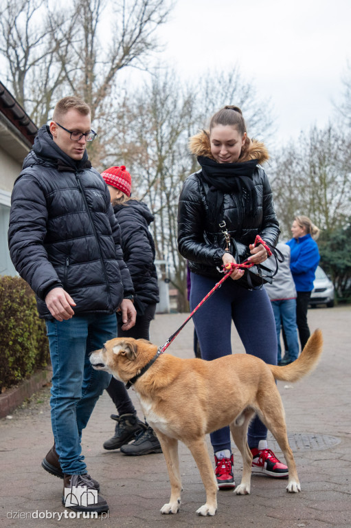 Wyprowadź psa ze schroniska