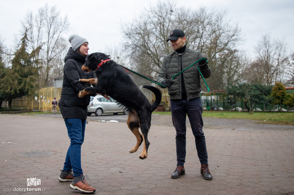 Wyprowadź psa ze schroniska