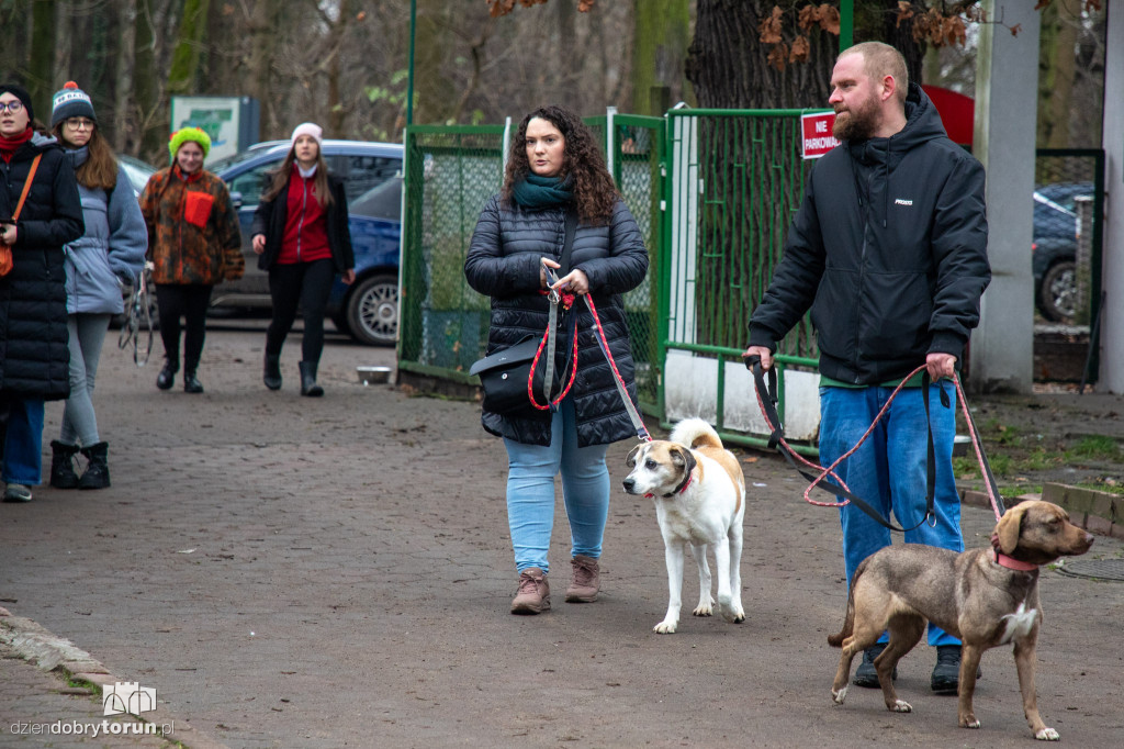 Wyprowadź psa ze schroniska