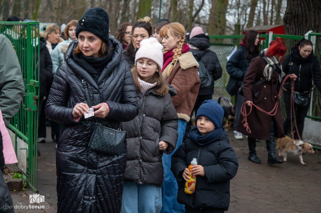 Wyprowadź psa ze schroniska