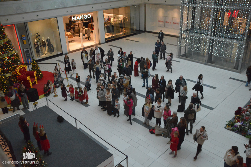 Kolędowanie w Plazie