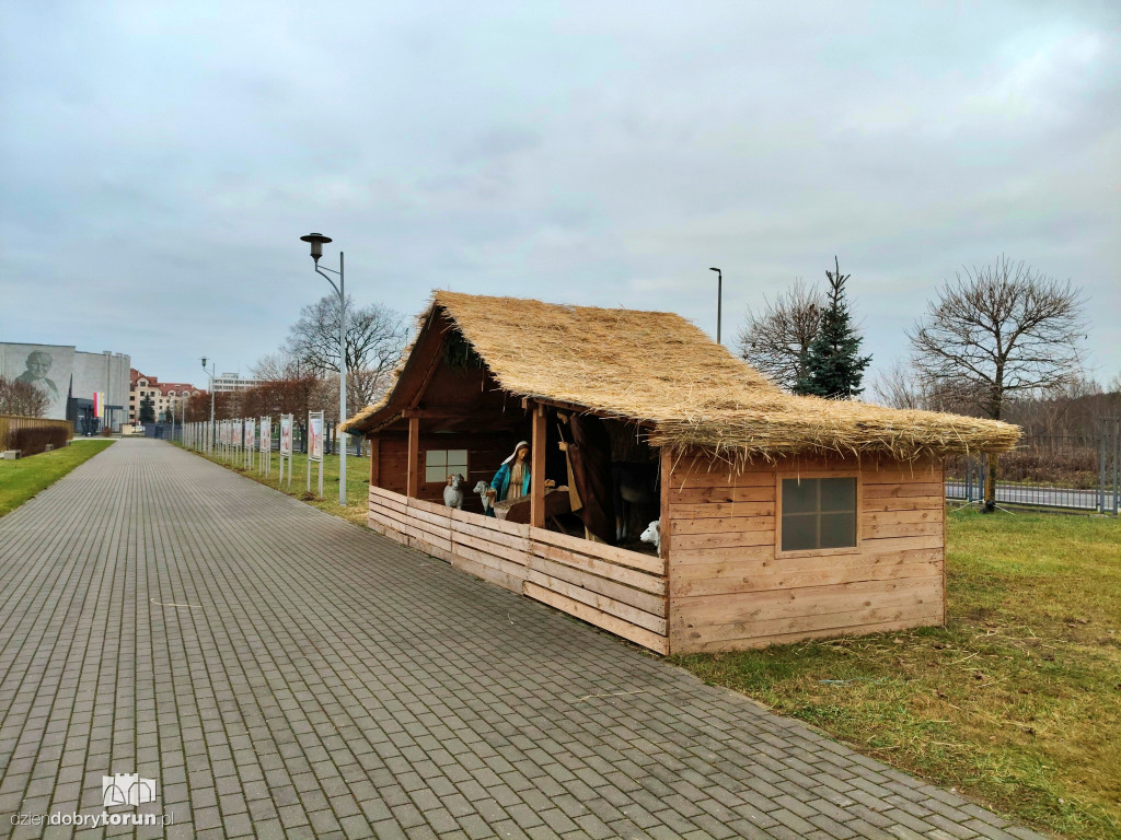 Szopka przy Sanktuarium NMP w Toruniu