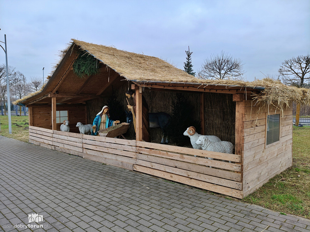 Szopka przy Sanktuarium NMP w Toruniu