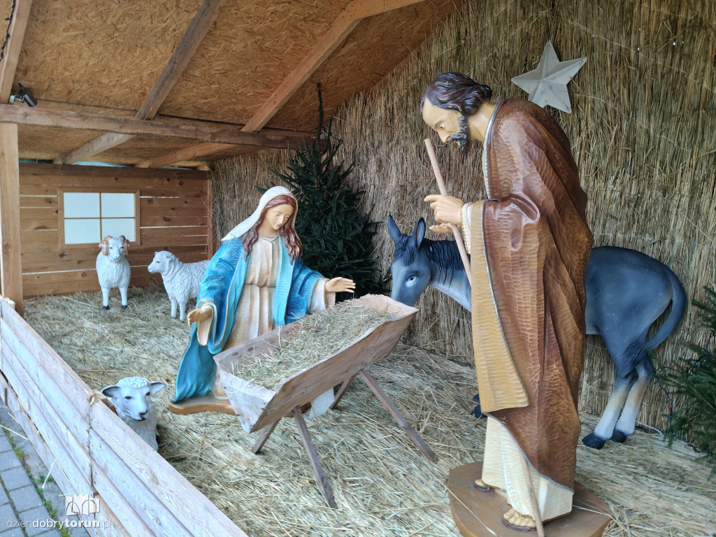 Szopka przy Sanktuarium NMP w Toruniu