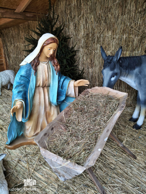 Szopka przy Sanktuarium NMP w Toruniu