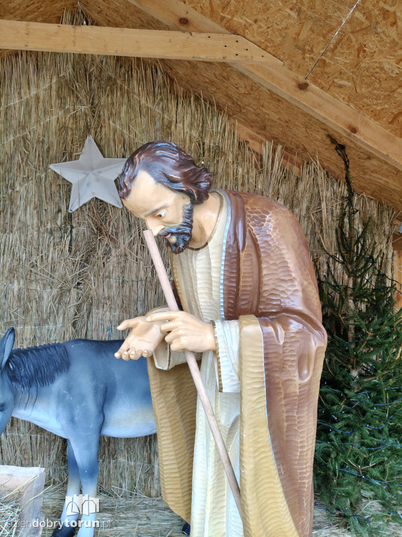 Szopka przy Sanktuarium NMP w Toruniu