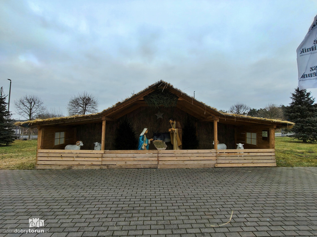 Szopka przy Sanktuarium NMP w Toruniu