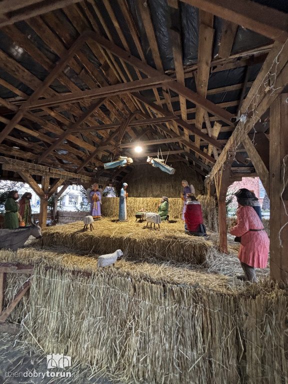 Szopka Bożonarodzeniowa na Rynku Nowomiejskim