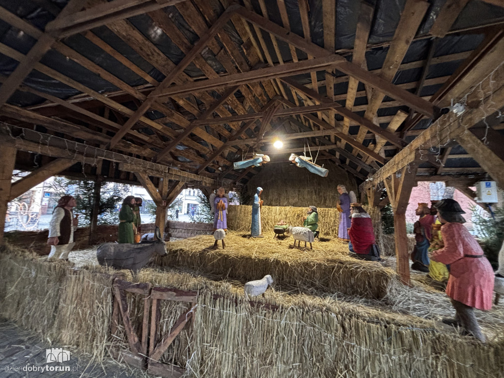 Szopka Bożonarodzeniowa na Rynku Nowomiejskim