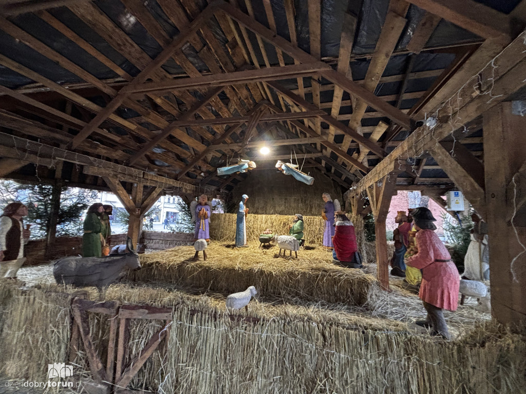 Szopka Bożonarodzeniowa na Rynku Nowomiejskim