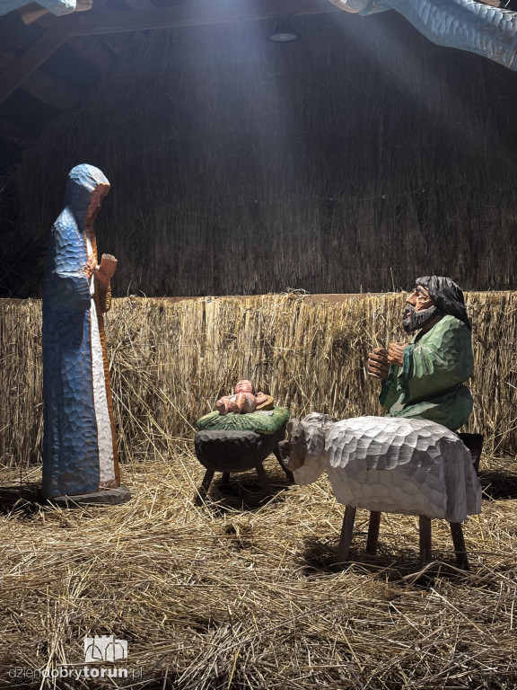 Szopka Bożonarodzeniowa na Rynku Nowomiejskim