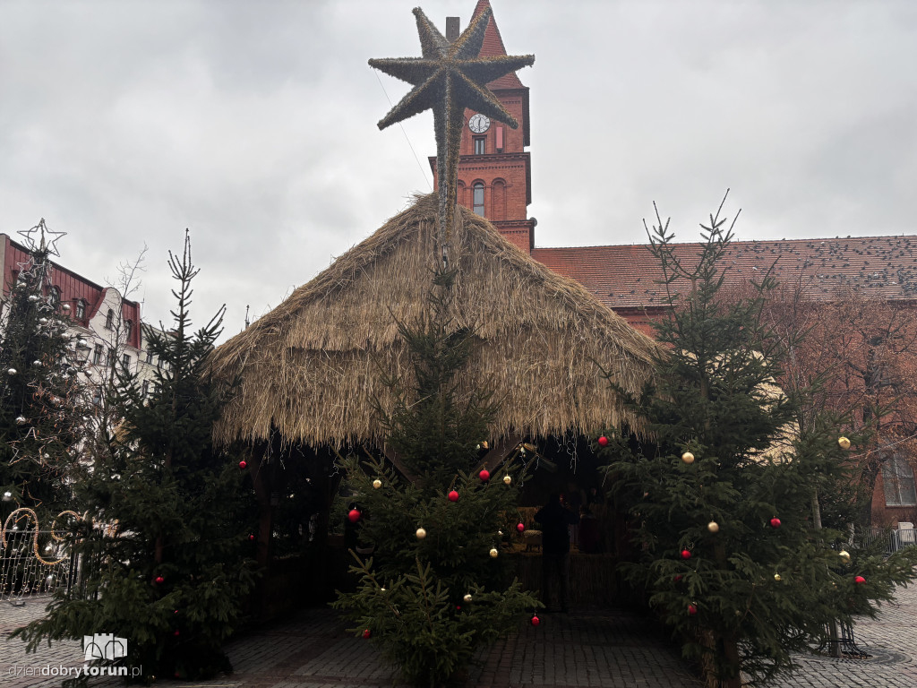 Szopka Bożonarodzeniowa na Rynku Nowomiejskim