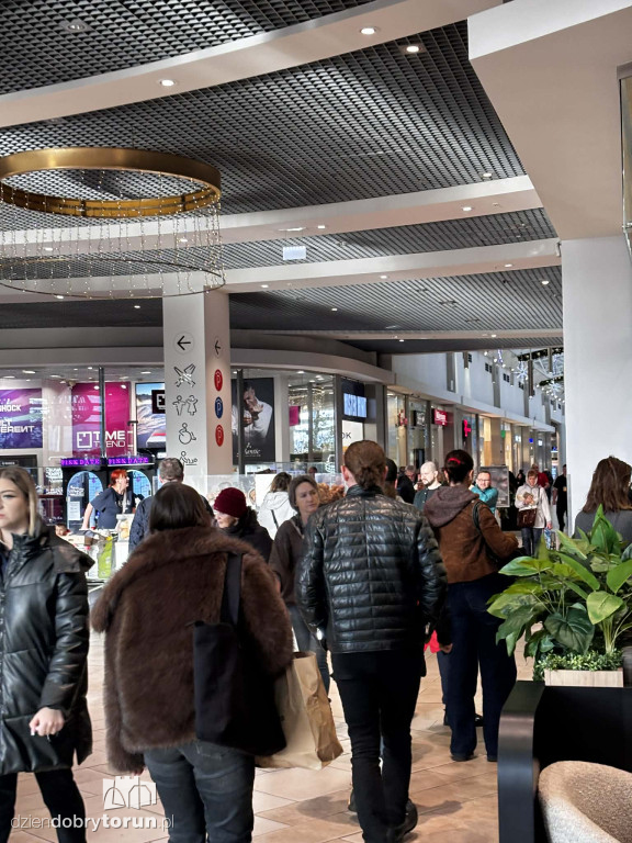 Zakupowy szał w Toruniu