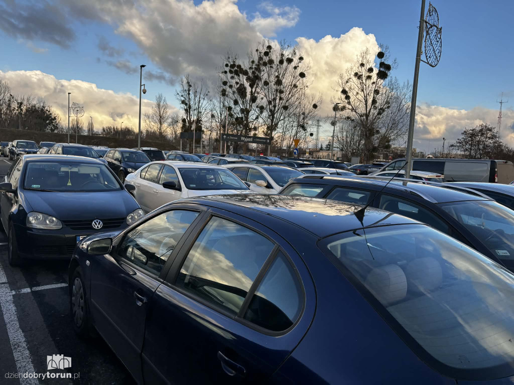 Zakupowy szał w Toruniu