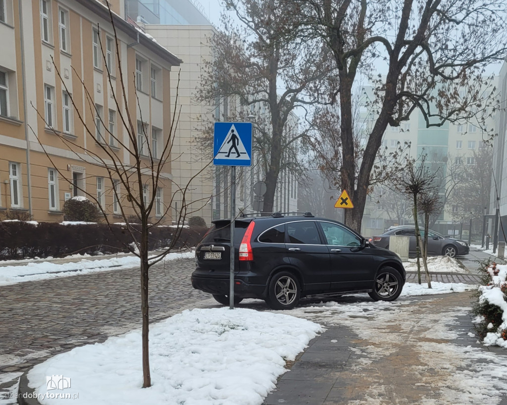 Grudniowi mistrzowie parkowania z Torunia