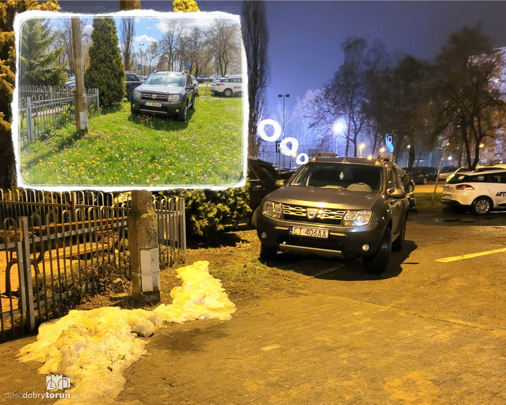 Grudniowi mistrzowie parkowania z Torunia