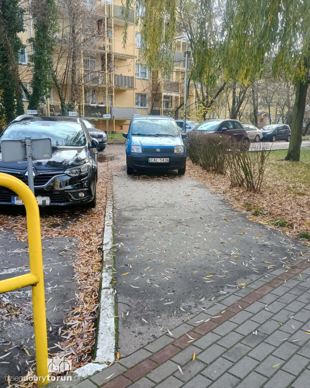 Grudniowi mistrzowie parkowania z Torunia