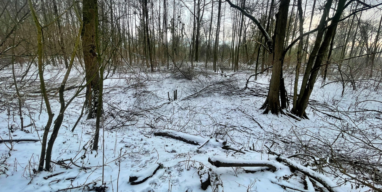 Wstrząsające kadry z Majdanów