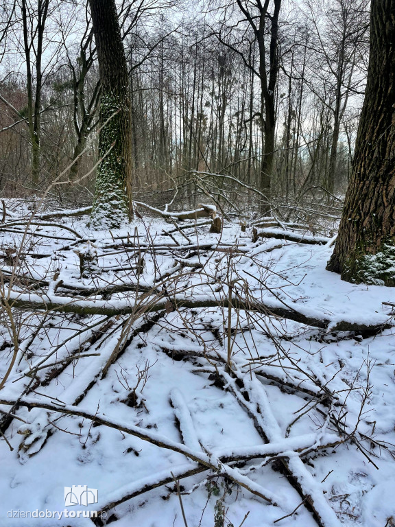 Wstrząsające kadry z Majdanów