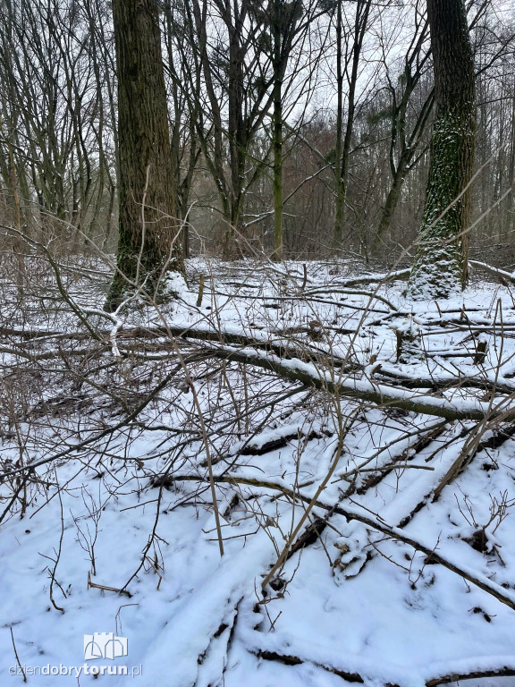 Wstrząsające kadry z Majdanów