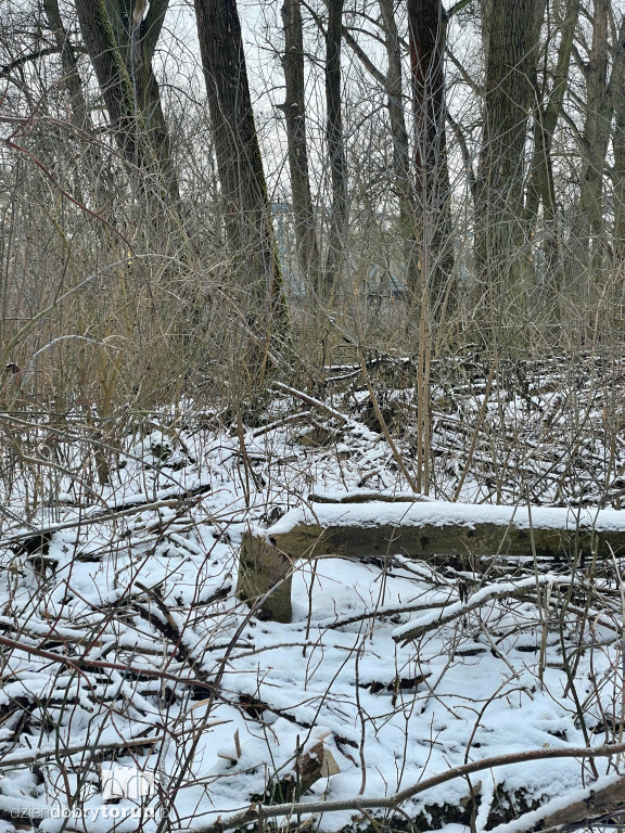 Wstrząsające kadry z Majdanów