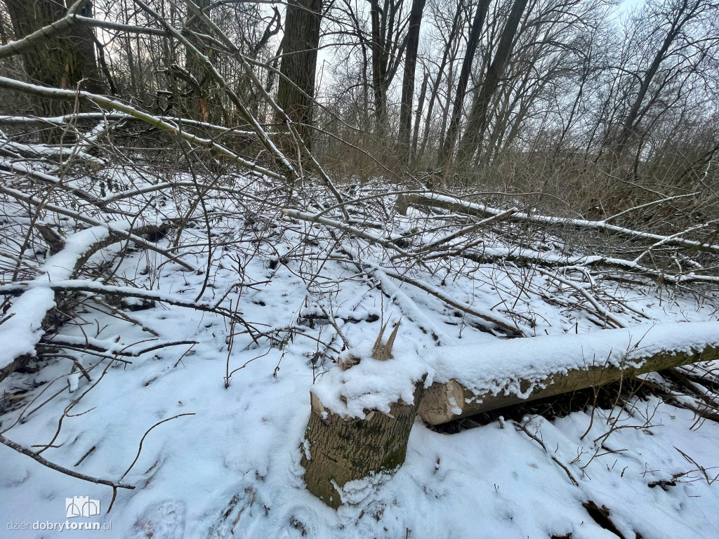 Wstrząsające kadry z Majdanów