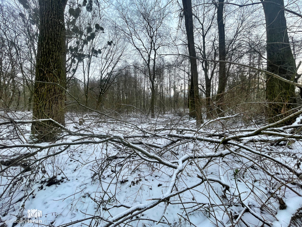 Wstrząsające kadry z Majdanów
