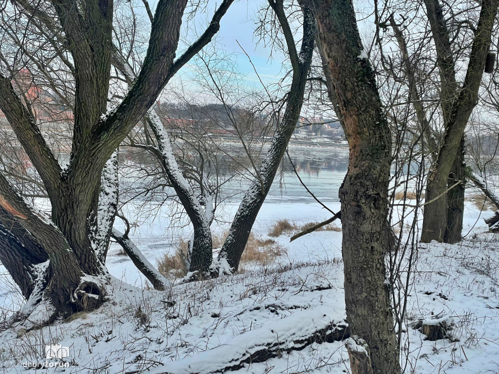 Tak wygląda Toruń zimą
