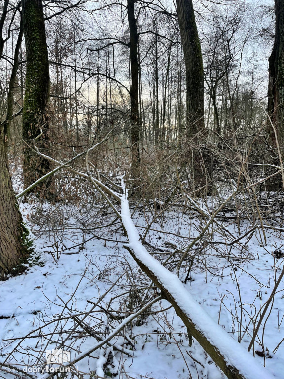 Wstrząsające kadry z Majdanów