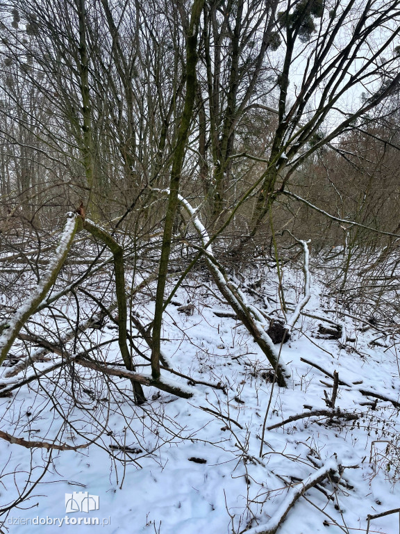 Wstrząsające kadry z Majdanów