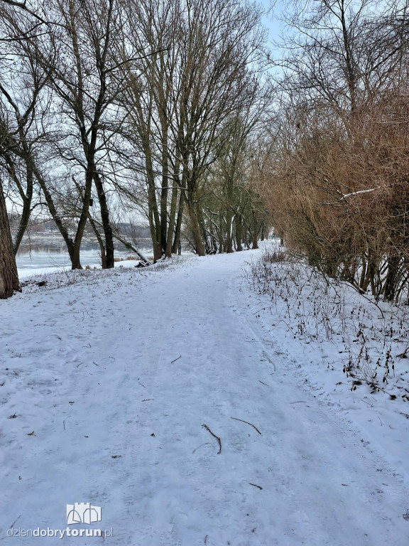 Tak wygląda Toruń zimą