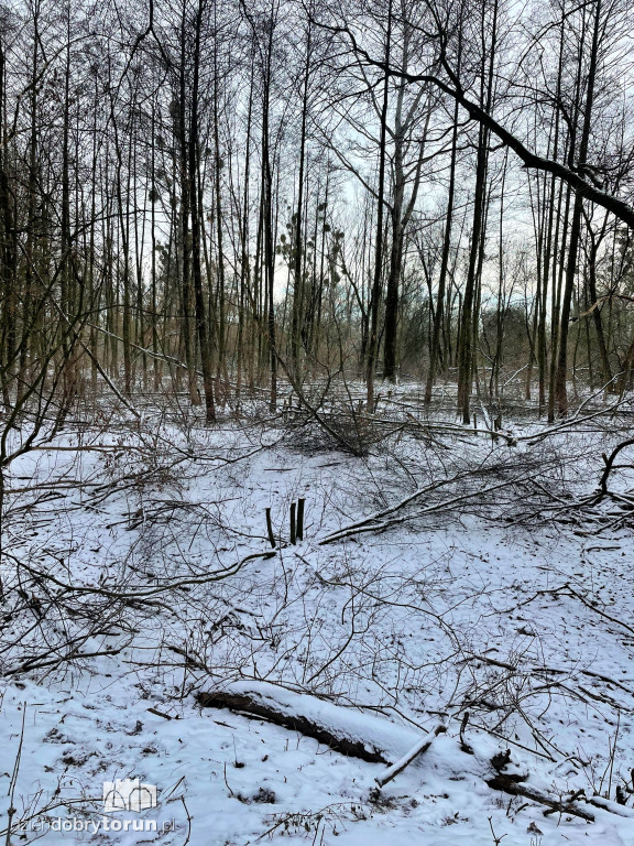 Wstrząsające kadry z Majdanów