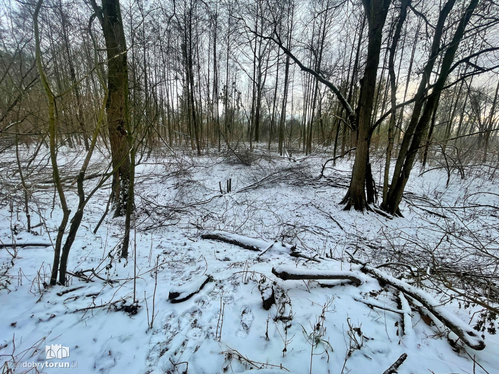 Wstrząsające kadry z Majdanów