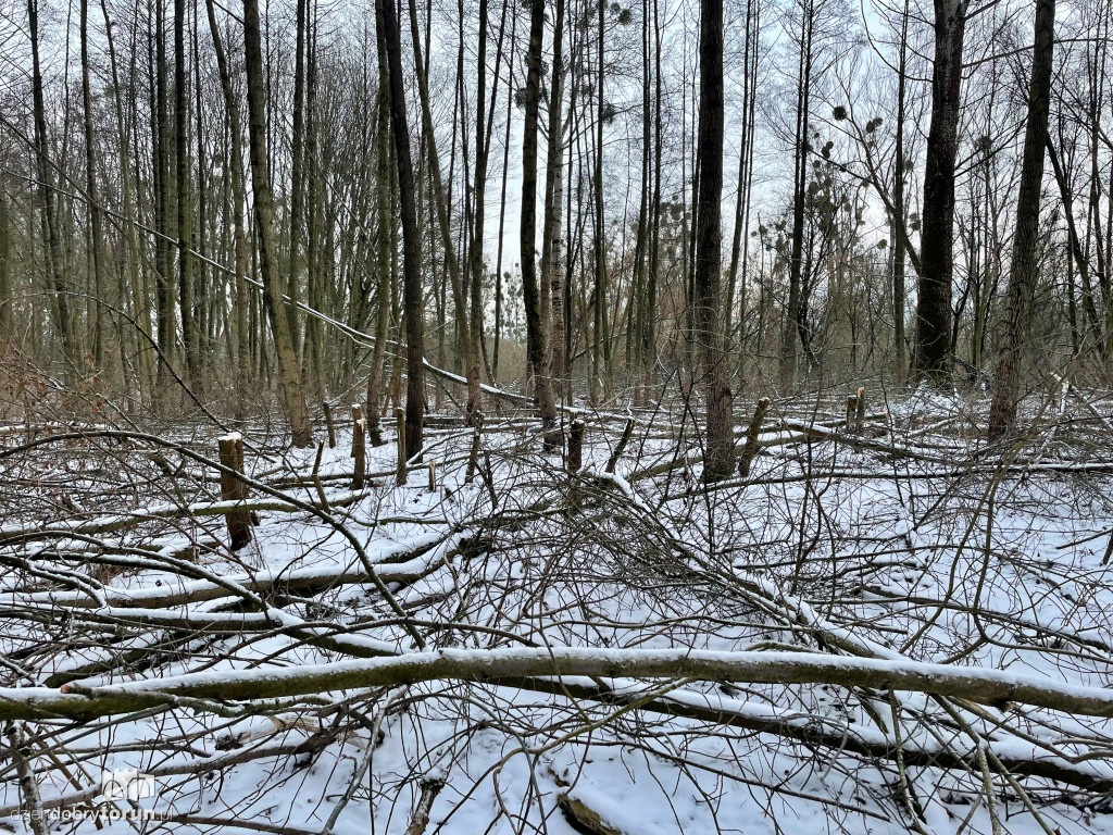 Wstrząsające kadry z Majdanów