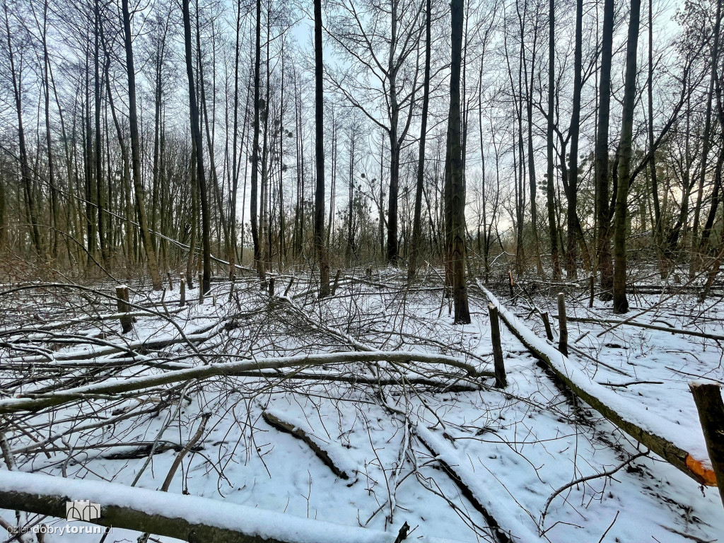 Wstrząsające kadry z Majdanów