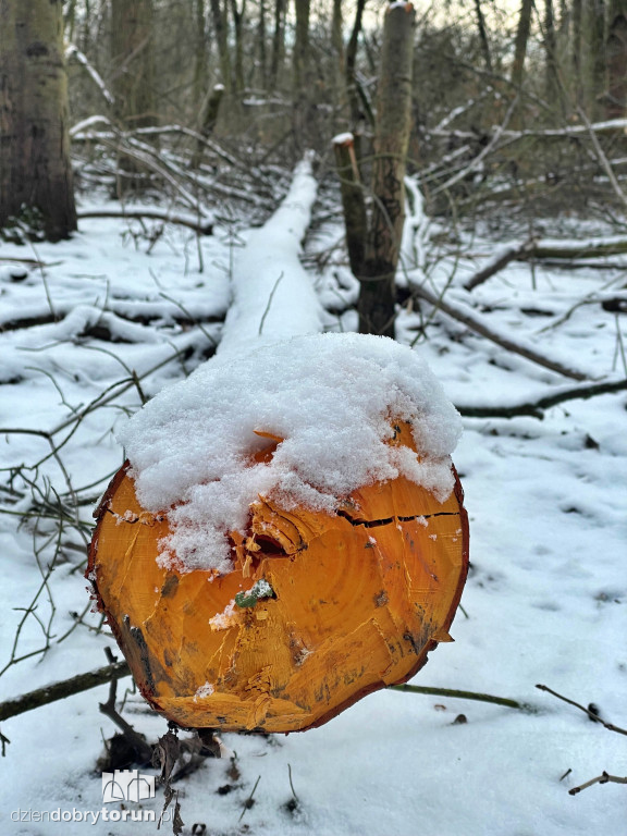 Wstrząsające kadry z Majdanów