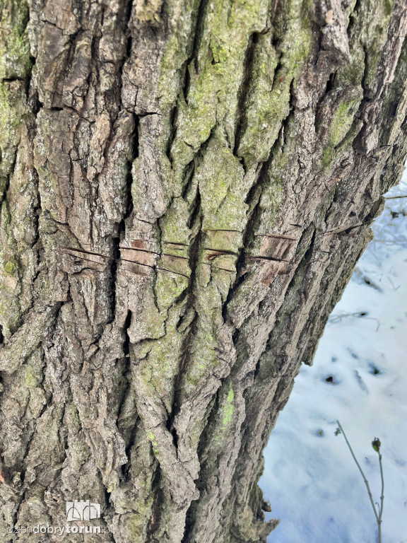 Wstrząsające kadry z Majdanów