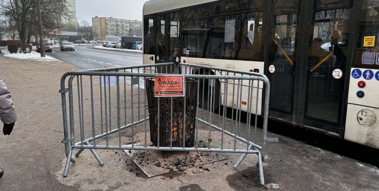 Koksowniki na ulicach Torunia