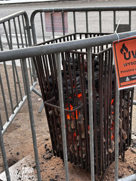 Koksowniki na ulicach Torunia