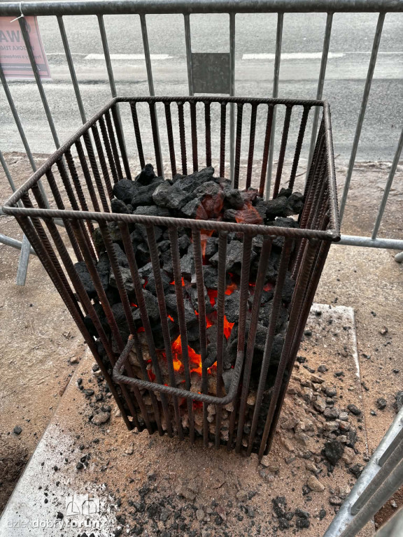 Koksowniki na ulicach Torunia