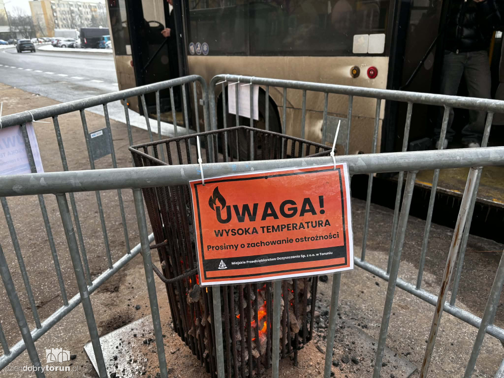 Koksowniki na ulicach Torunia