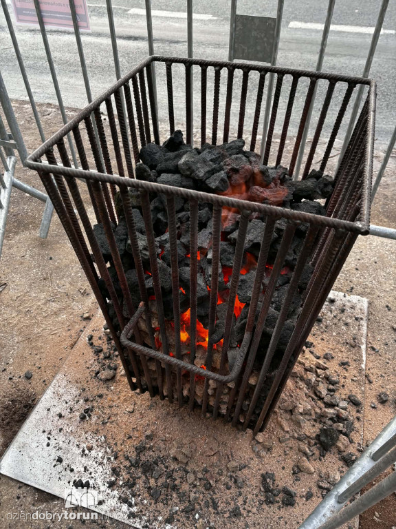 Koksowniki na ulicach Torunia