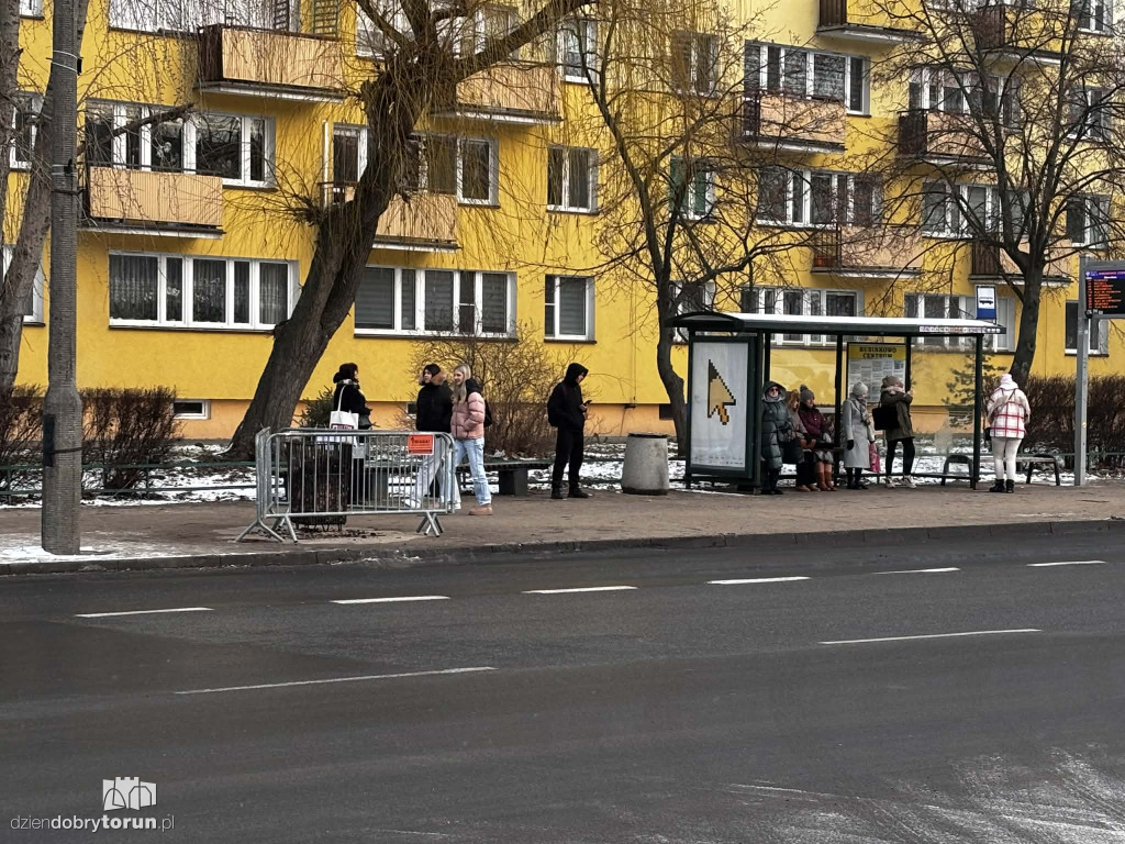 Koksowniki na ulicach Torunia