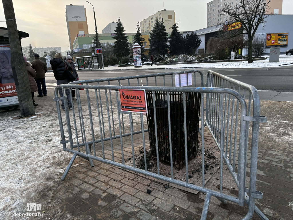 Koksowniki na ulicach Torunia