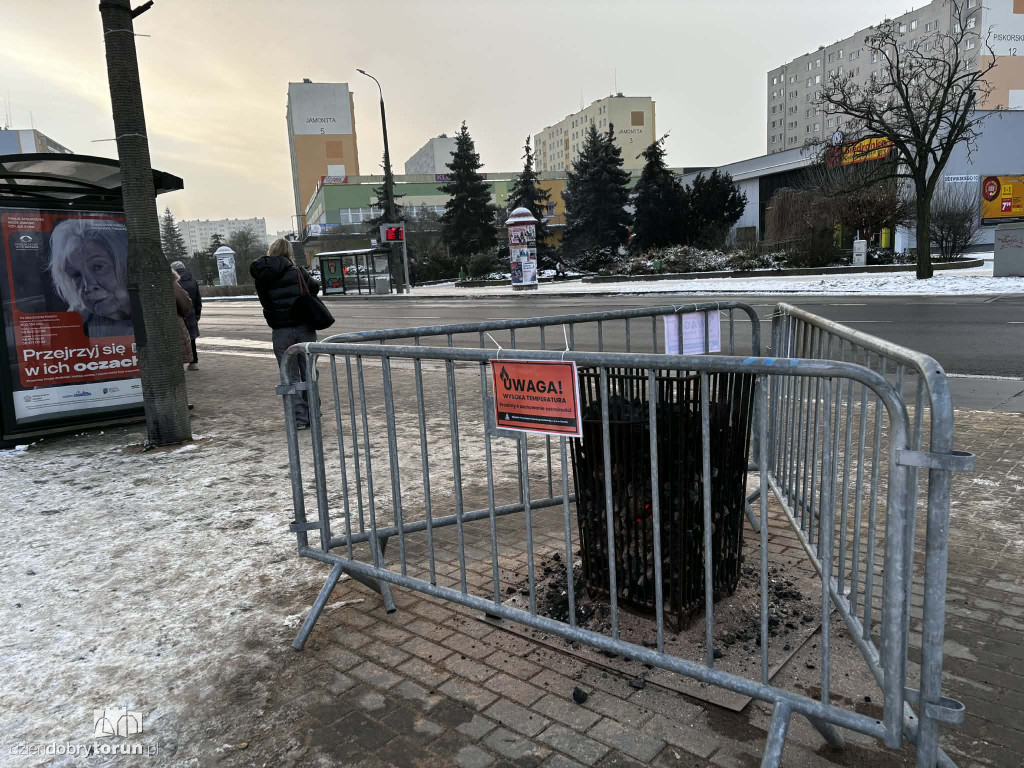 Koksowniki na ulicach Torunia