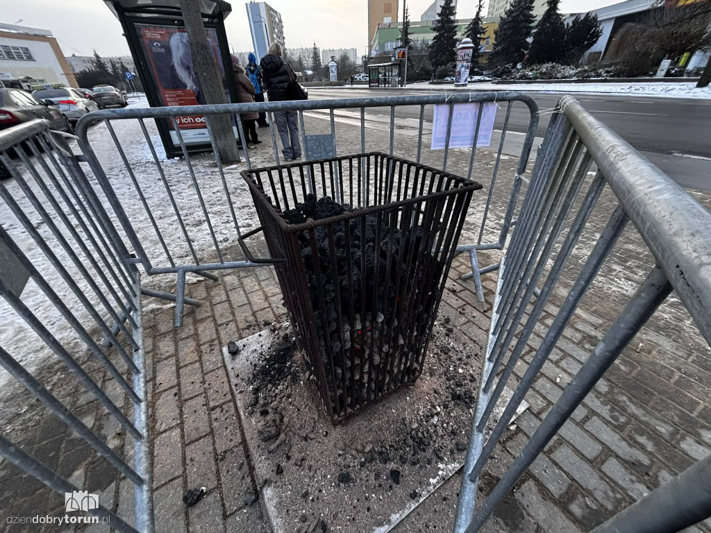 Koksowniki na ulicach Torunia