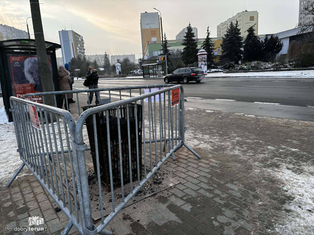 Koksowniki na ulicach Torunia