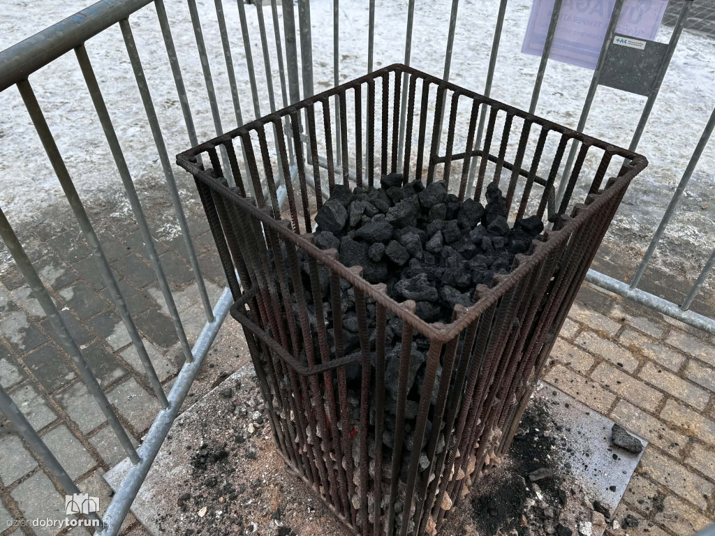 Koksowniki na ulicach Torunia